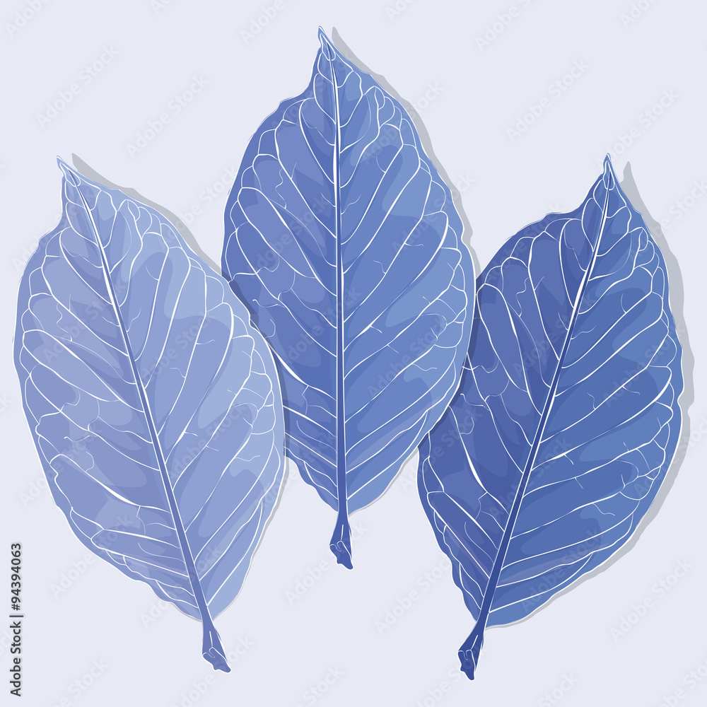 Fototapeta premium Realistic leaves vector illustration. Autumn frozen fallen leaves.