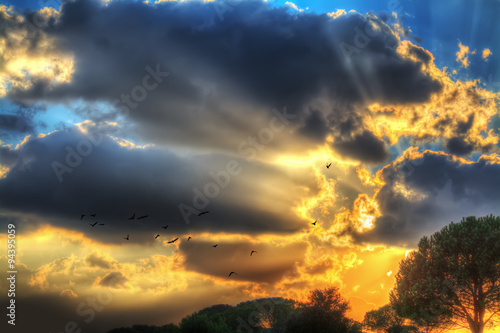 birds flying in a colorful sky at sunset