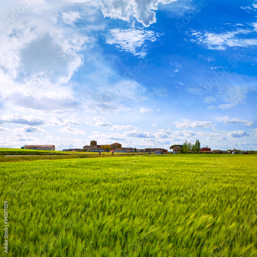 The Way of Saint James in Palencia cereal fields