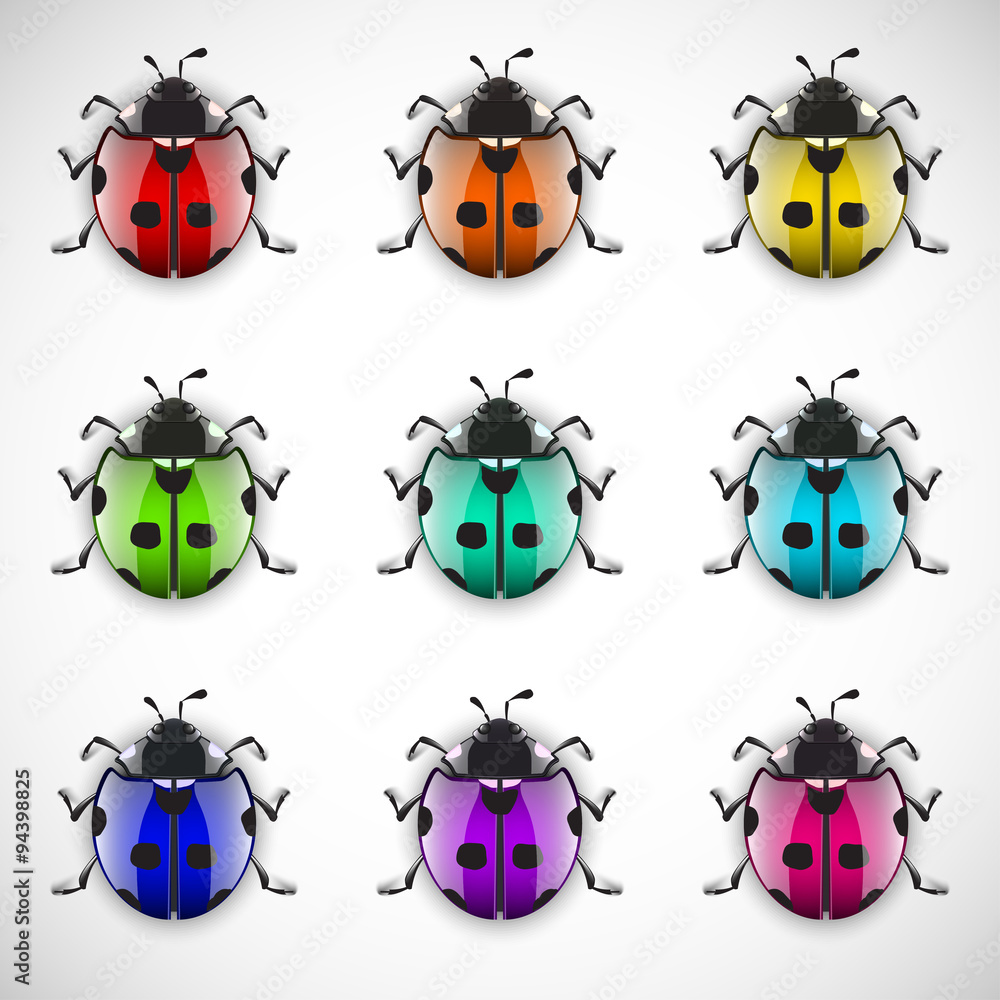 Obraz premium ladybugs