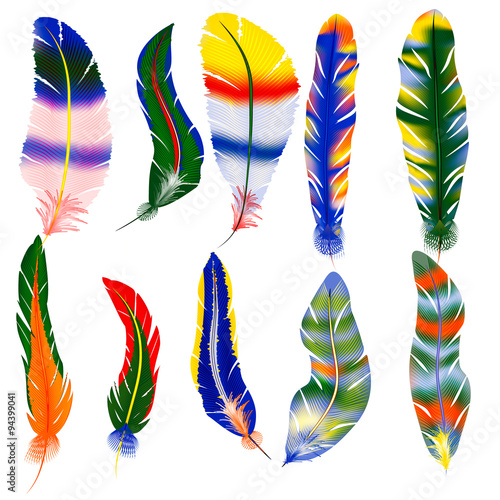 Vector set of feathers