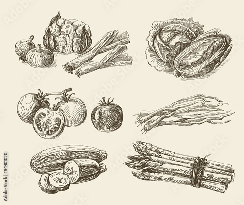 hand drawn food sketch