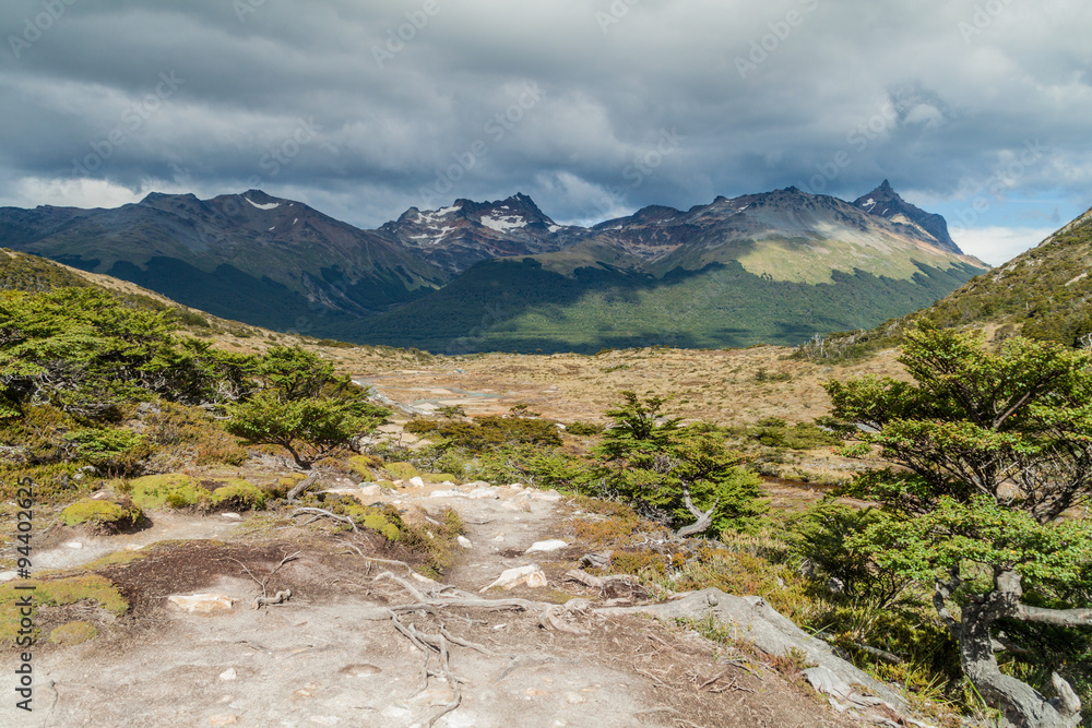 Nature in Tierra del Fuego, Argentina Nature in Tierra del Fuego, Argentina