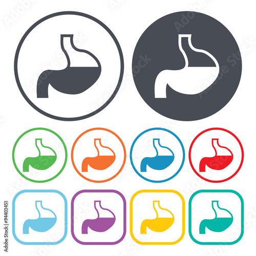 Stomach vector icon. On White Background