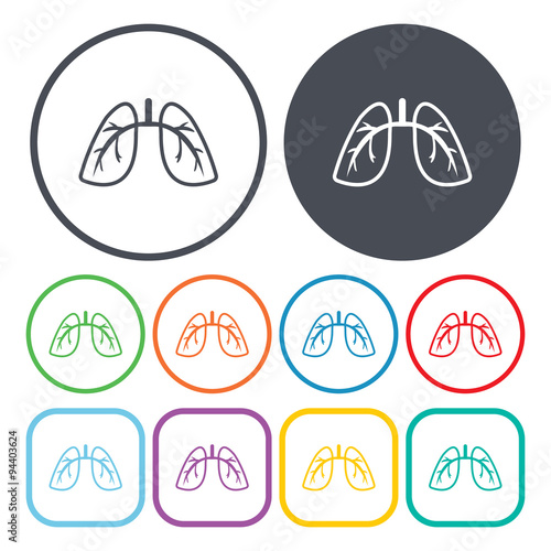 Lung vector icon. On White Background