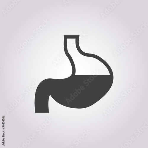 Stomach vector icon. On White Background