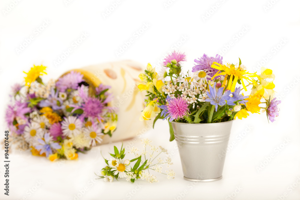 Beautiful meadow flowers in small vases, white background