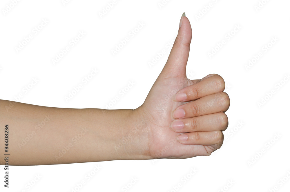 Hand on the isolated background. Hand on the isolated background.