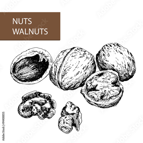 Nuts. Walnuts.