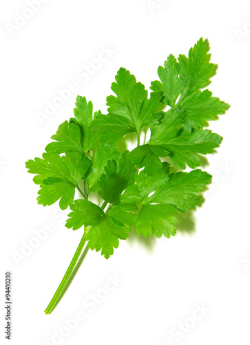  parsley