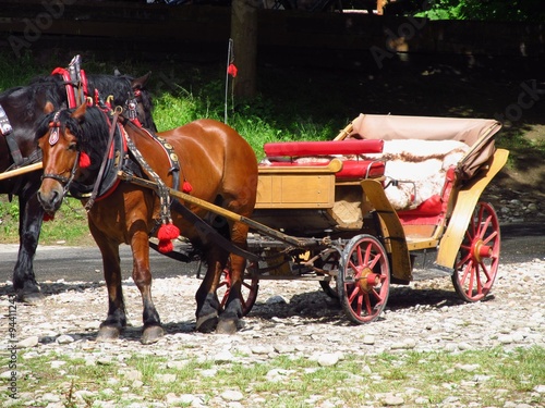 brown horse with a nice old waggon