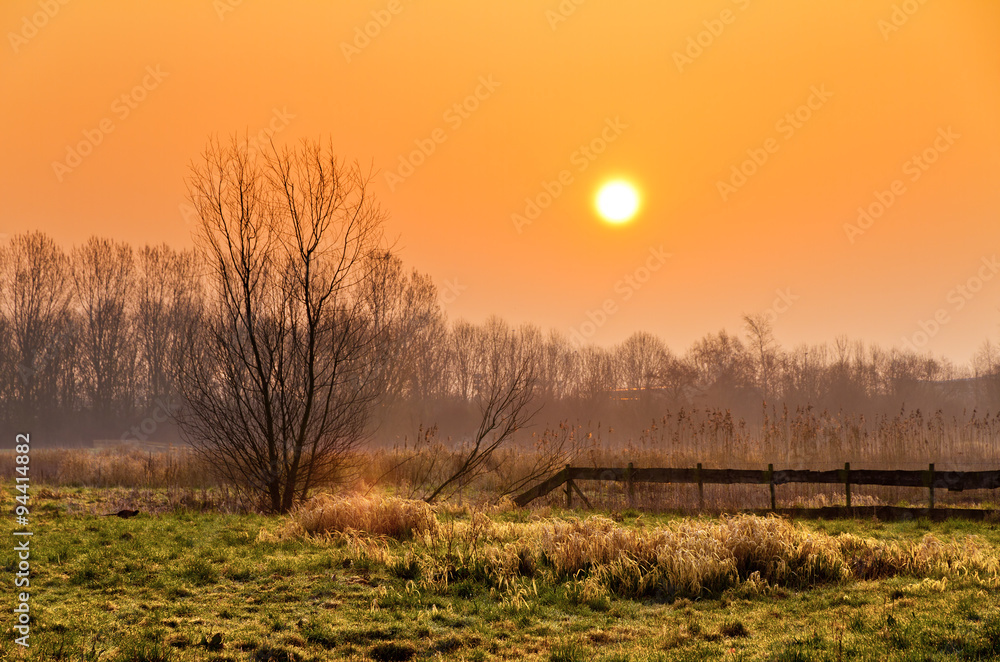 Early morning sunrise in a natural environment in park Cronesteyn in Leiden, the Netherlands