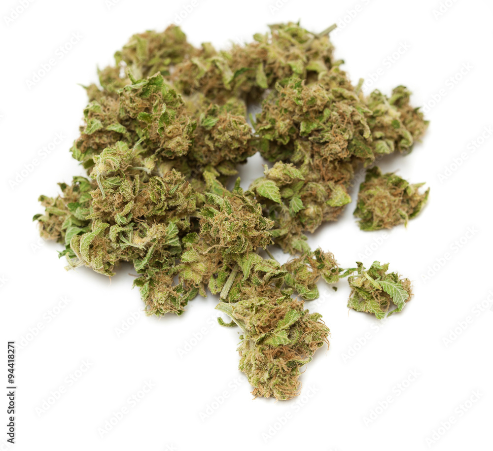 marijuana isolated on white background marijuana isolated on white background