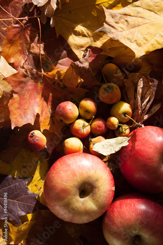 Apple background