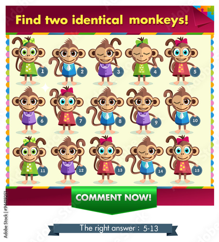 monkey