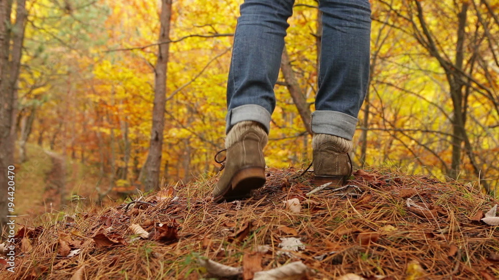 Young Active female with backpack have a walk in autumn forest Young Active female with backpack have a walk in autumn forest