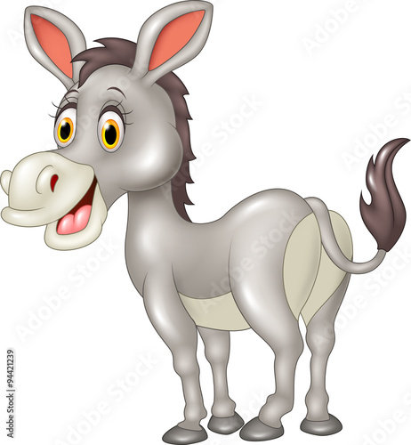 Cartoon funny donkey isolated on white background
