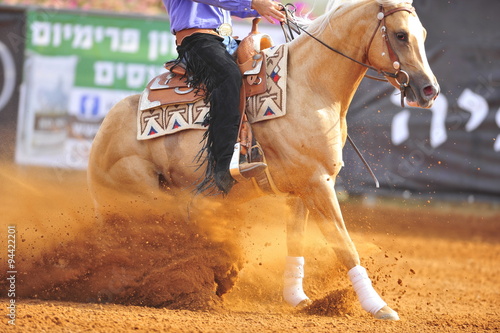 A side view of a rider stopping a horse in the dust.