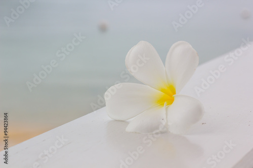 White plumeria on wooden table with beach background