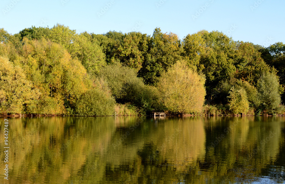Dense foliage in sunshine, reflected in lake Dense foliage in sunshine, reflected in lake
