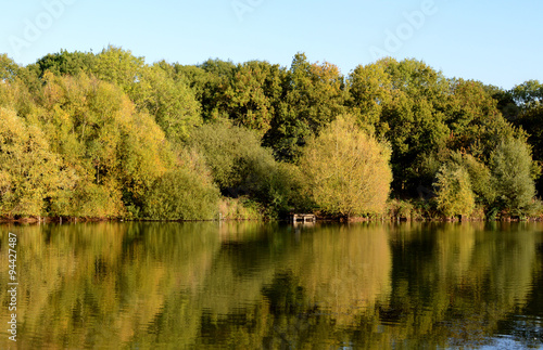 Dense foliage in sunshine, reflected in lake
