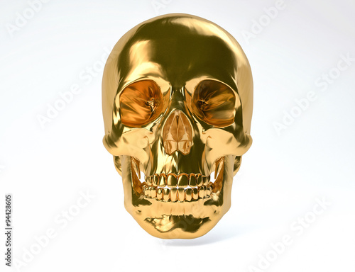3D Isolated Human Skull.