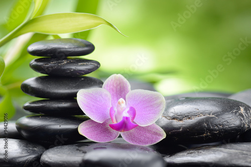 spa concept with zen basalt stones orchid and bamboo
