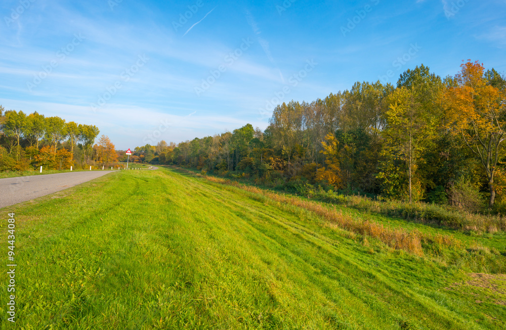 Trees in a field in autumn colors Trees in a field in autumn colors