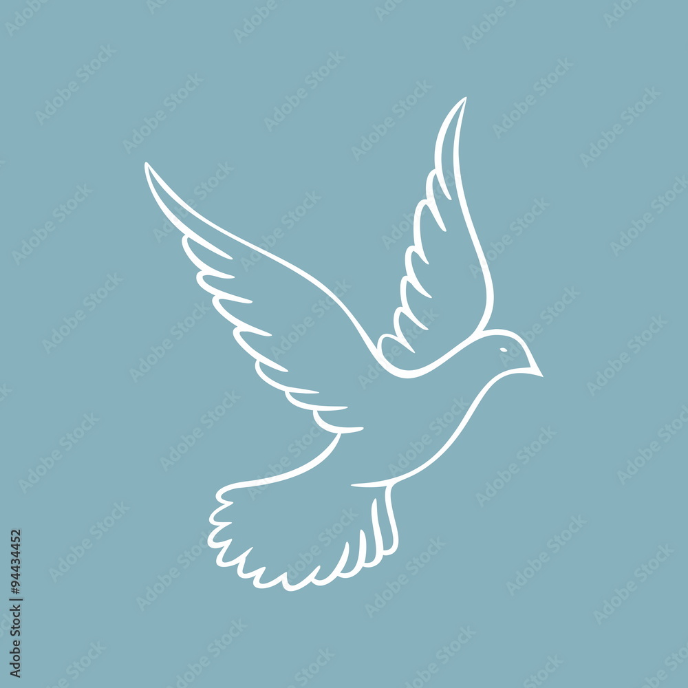 Fototapeta premium Dove, Holy spirit