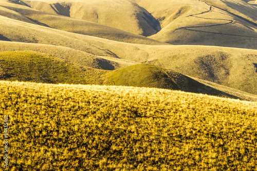 Capturing the breathtaking high altitude beauty of the Ecuadorian Andes at approximately 4600 meters this landscape offers a glimpse into the majestic terrain of the region