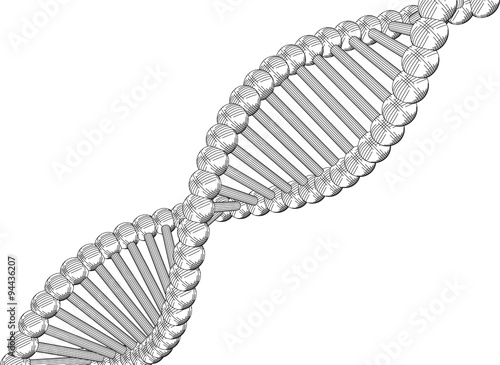 Sketch the structure of DNA