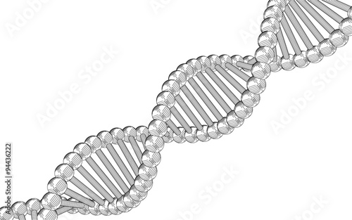 Chain vector DNA. The contours of the DNA.