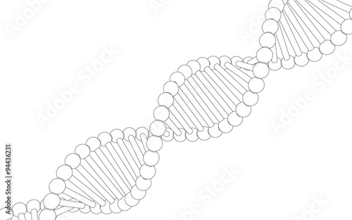 Chain vector DNA. The contours of the DNA.