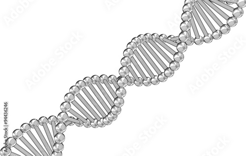 Dna vector