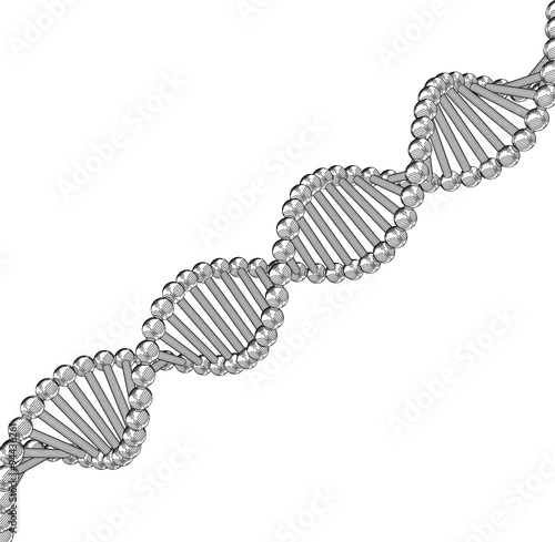Chain vector DNA. The contours of the DNA.