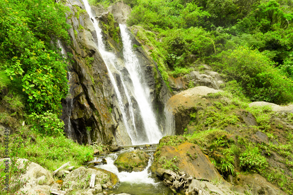 A lush forest in Ecuador with a stunning waterfall cascading down, surrounded by Chamana natural reserves. A lush forest in Ecuador with a stunning waterfall cascading down, surrounded by Chamana natural reserves.