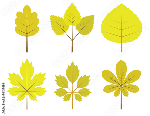 Set of vector leaf trees of various shapes on autumn theme