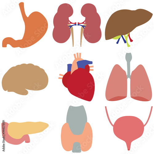 Vector set oragnov man on an isolated background