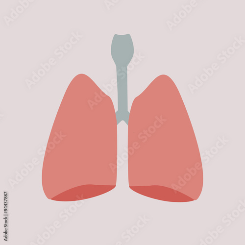 Vector illustration. Human lungs organ