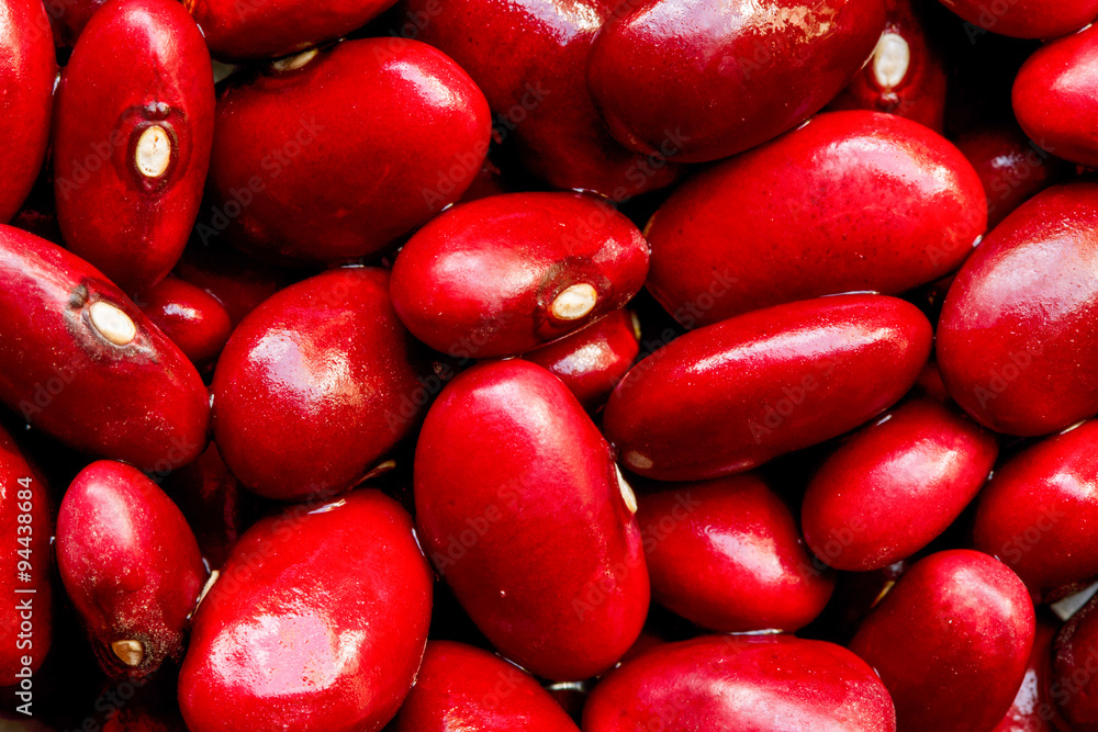 The Azuki bean a staple in East Asian and Himalayan cuisines is an annual vine known scientifically as Vigna angularis prized for its small red beans The Azuki bean a staple in East Asian and Himalayan cuisines is an annual vine known scientifically as Vigna angularis prized for its small red beans