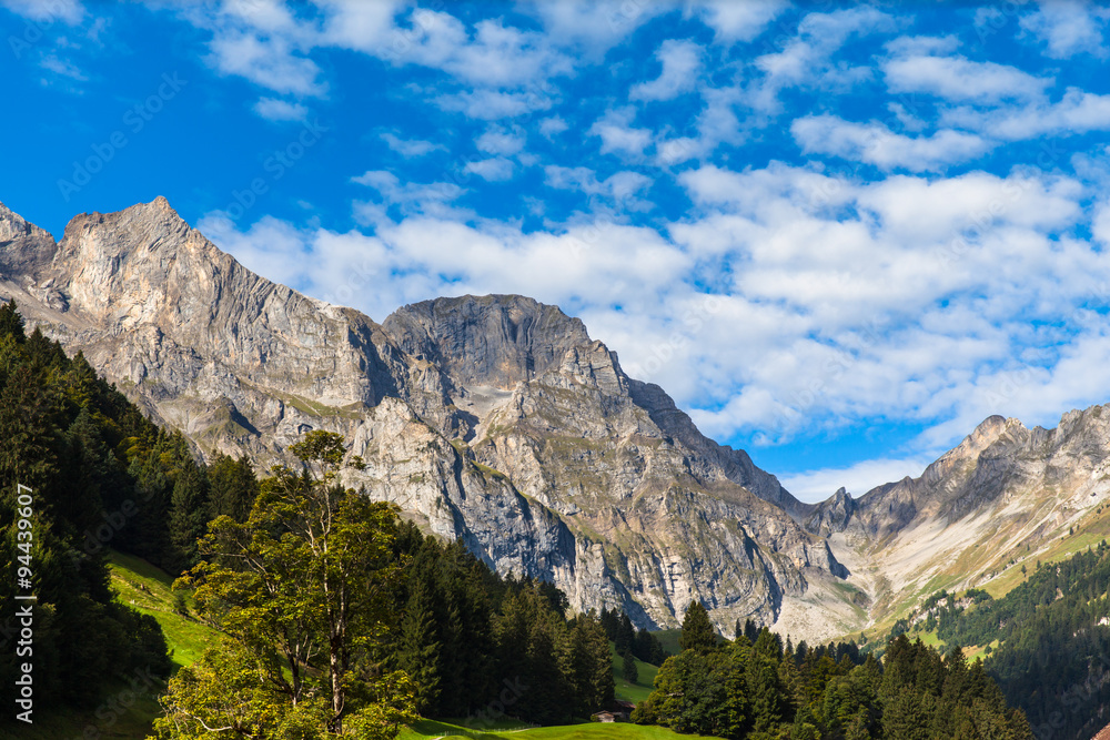 Panaroma view of the Alps in Engelberg valley