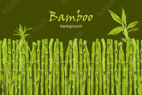 Hand-drawn green bamboo background with space for text
