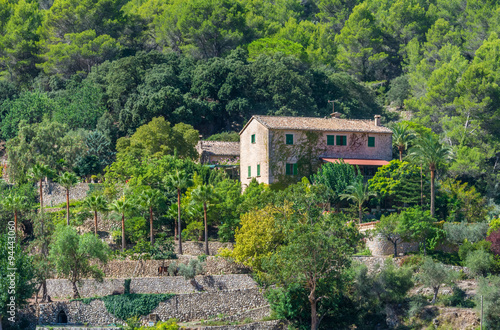 Abgeschiedene Villa und Terrassenhänge, Mallorca © schulzfoto