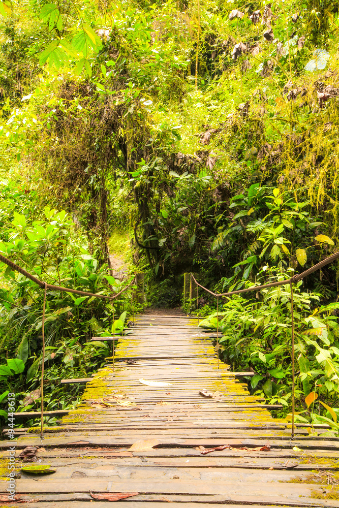 An enchanting old rope bridge nestled amidst a tropical forest, inviting you to explore its lush greenery and discover hidden wonders. An enchanting old rope bridge nestled amidst a tropical forest, inviting you to explore its lush greenery and discover hidden wonders.
