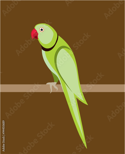 Green ringneck parrot vector