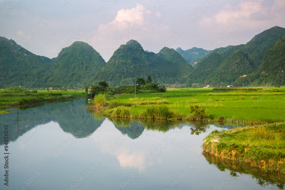 River and rice field in vietnam