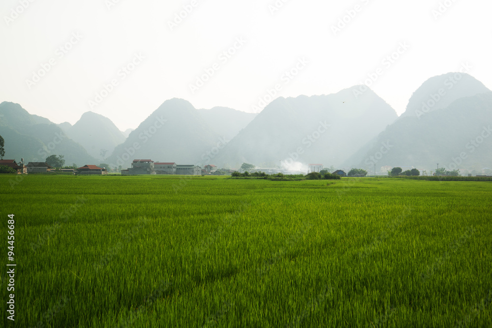 Fototapeta premium the village in nature (rice and mountain)