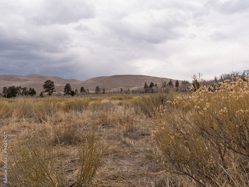 Landcape Photo of Great Sand Dunes National Park