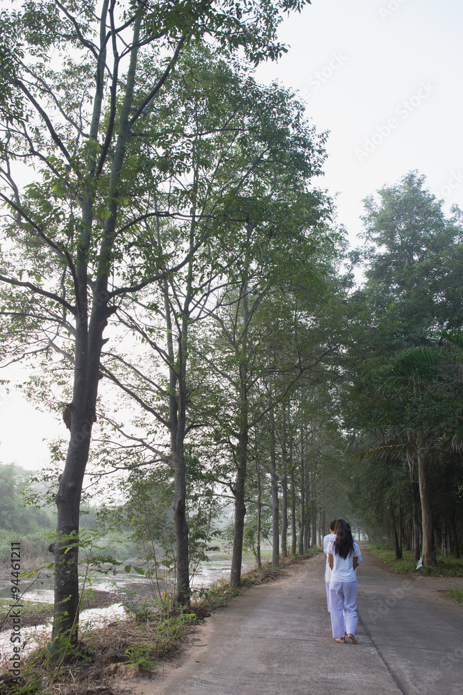 Walking forest Path