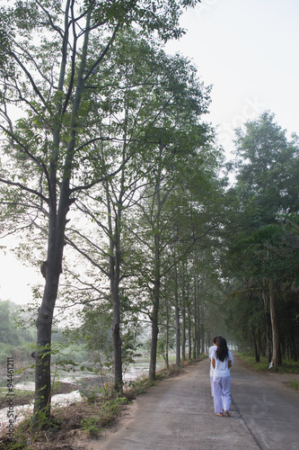 Walking forest Path © oekkaroek